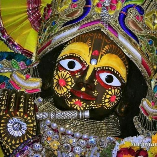 Pavan Nitai Chandra · Kirtan at Radha Damodar Mandir · 3.20.23