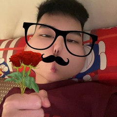 tung duong