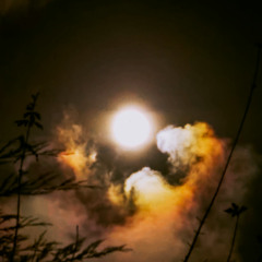 My gift is madness -- Siren by Well, reimagined by FoF