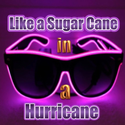 LIKE A SUGAR CANE IN A HURRICANE