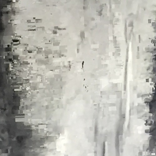 Paral·lel - GUITER (Senglar Version)