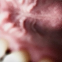 pe gingie ft @jayrewind