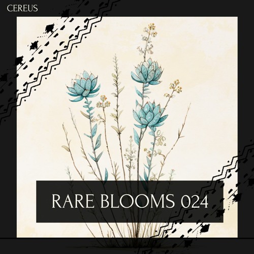 Cereus - Rare Blooms 024