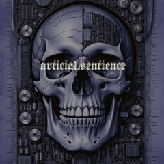 Artificial Sentience