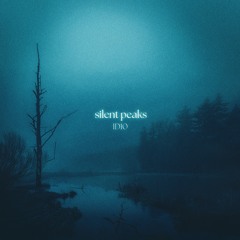 ambient 6