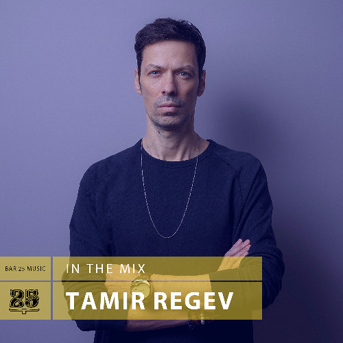 Bar 25 Music In The Mix #184 - Tamir Regev
