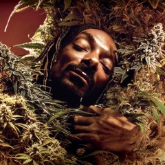 Last Dance With Mary Jane (Mojo Filter Lazarus Dub) - Snoop, Dre, Tom Petty, Jelly Roll & Coolio