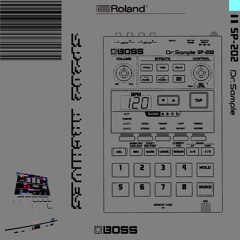 sp202 archives