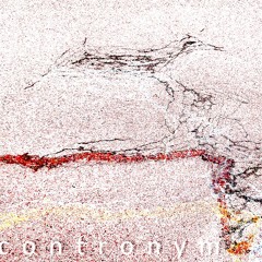 contronym