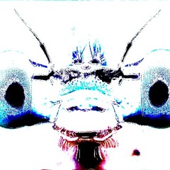 Aeshnoidea