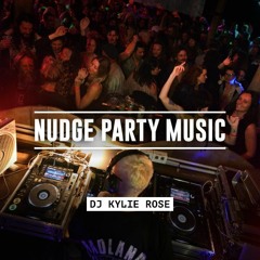 Nudge Party Music 2 - Disco, house, tribal & dirty tech