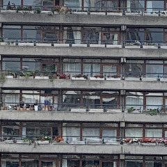 Hold On (Butterfly Net Remix)