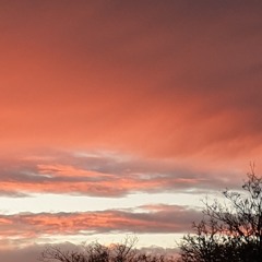 Neuanfang aus der Dunkelheit (3).mp3