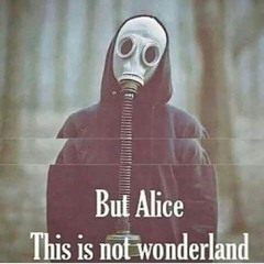 But Alice This Not Wonderland