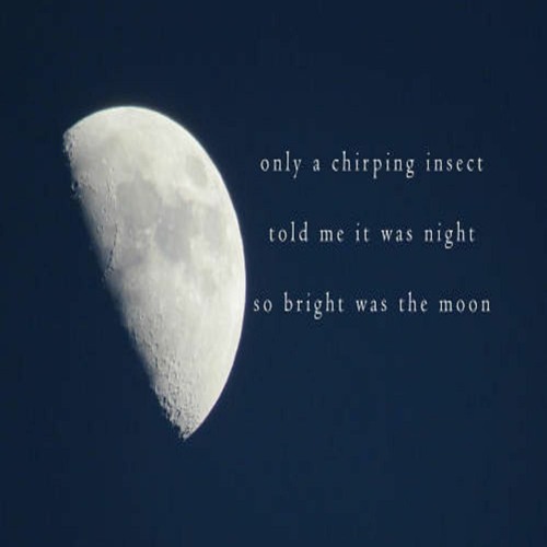 Stream Oneambient4 Dreaming So Bright Was The Moon Naviarhaiku 363 By Oneambient4 Listen Online For Free On Soundcloud