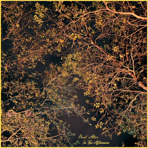 Paul Allen - In The Afternoon