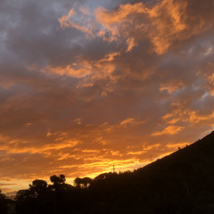 8 O'Clock In The Morning (Live)