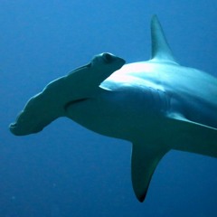 The End of the Line Episode 3: Victim, Not Villain