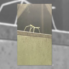 Stick Bug (Chang31ing Remix)
