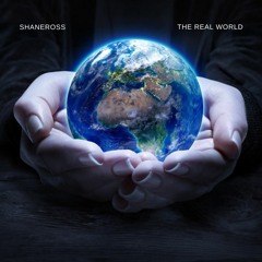 ShaneRoss - The Real World