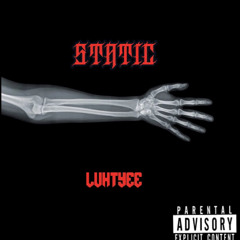 Luh Tyee- Static