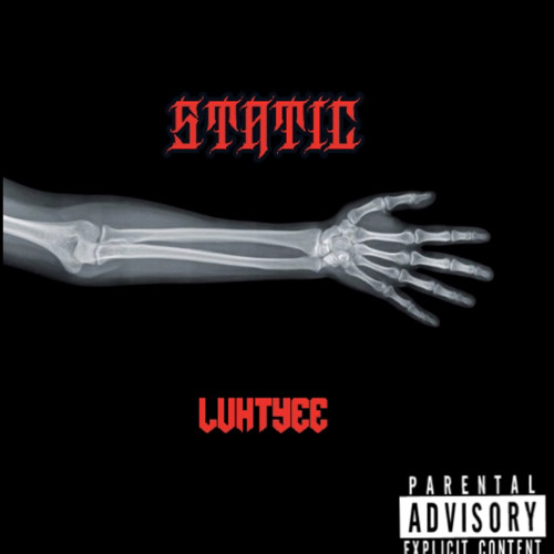 Luh Tyee- Static