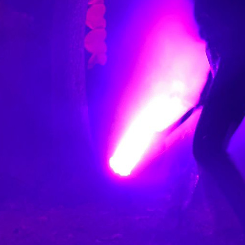 Technicolored Synapses