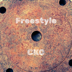 Frestyle - Eleggtro remix