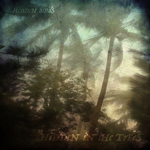 Stream HiDDeN iN tHe TrEeS by HiDDEN BiRdS | Listen online for free on ...