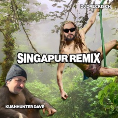 KUSHHUNTERDAVE x DJ DRECKISCH - SINGAPUR RMX
