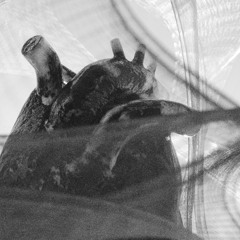 Exploration by Teo Wagner | LHB 2