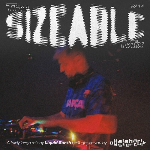 The Sizeable Mix Vol. 14: Liquid Earth