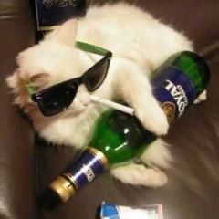 Tia Cousins: 8th October '25