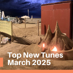 Top New Tunes - March 2025