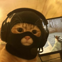 😼.m4a