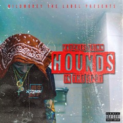 KNUCKLES BRIMM - HOUNDS IN THE SPOT
