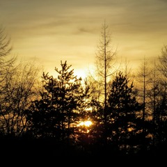 Waiting for Winter to End (Ambient Mix)