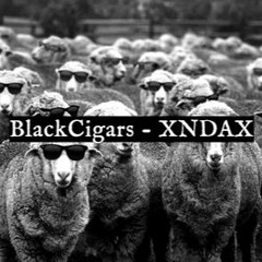 BlackCigars - XNDAX
