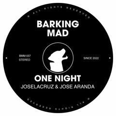 One Night (Original Mix). joselacruz, jose Aranda
