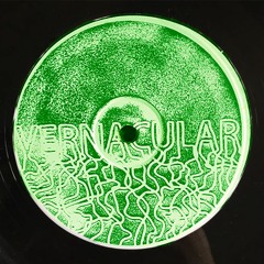 PRÈMIÉRE : Vernacular Orchestra - Canyon 211 [Vernacular Records]