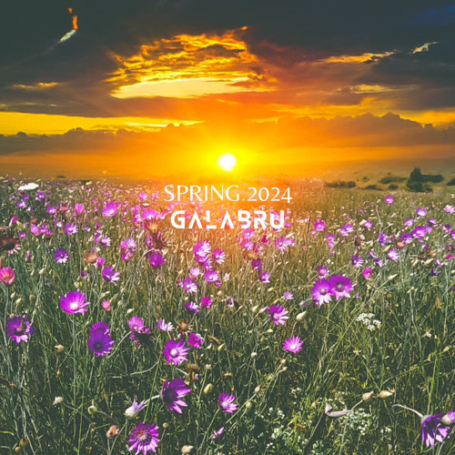 MIXTAPE SPRING 2024 // WAY GALAB
