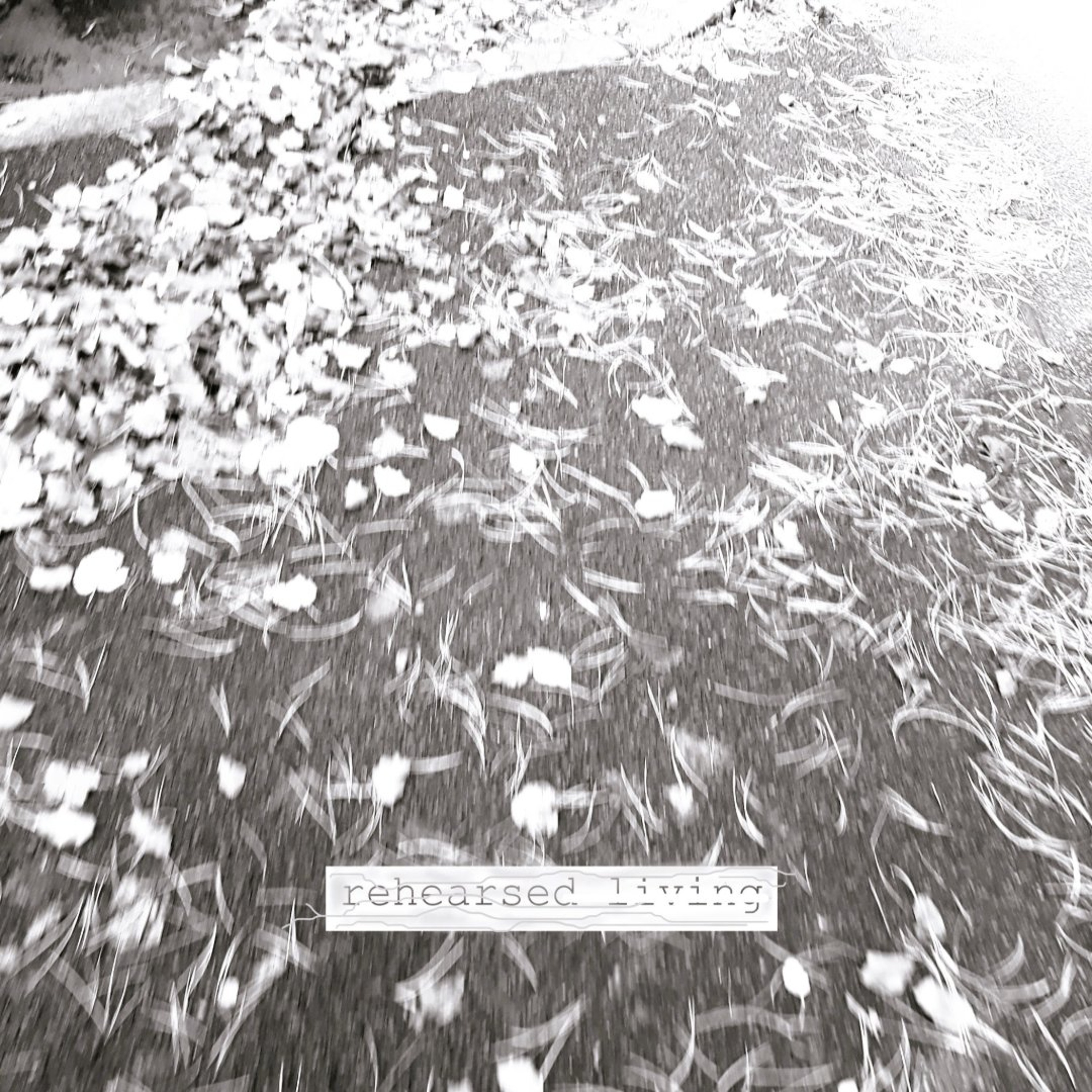 Photograph episode artwork