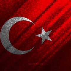 MC NEGRITIN- ESSE BAILE DA TURQUIA AINDA ACABA COM A MINHA VIDA [DJ HIAGO NC]