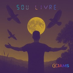 Sou Livre - Remix.mp3