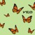 Artwork for butterfly\ainvayi ainvayi effect | Travis Scott, Beoga, Salim-Sulaiman