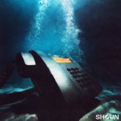 SHØWN - Missed Call