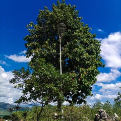 𝔠𝔥𝔦𝔩𝔩𝔳𝔦𝔟𝔢