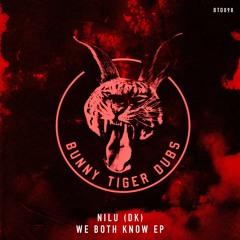NILU (DK) - We Both Know [OUT NOW]