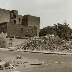 walking the lifeless city