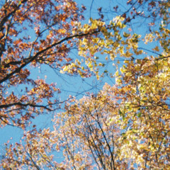 Rain On Me (bagsy FM remix)